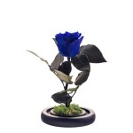 Trandafir criogenat albastru , Rose Amor, cupola de sticla 25 cm, iluminare LED, petale la baza, pandant de argint cadou, Urban Trends ®