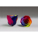 Trandafir criogenat multicolor, Rose Amor, in cutie cadou, 30cm, Urban Trends ®