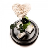 Trandafir criogenat Cupidon inima alba, Rose Amor, cupola de sticla 22cm, petale la baza, Urban Trends ®