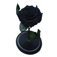 Trandafir criogenat negru intens, Rose Amor, cupola de sticla eleganta 30 cm, muschi verde la baza, Urban Trends ®