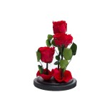 Aranjament 3 trandafiri criogenati rosii, Rose Amor, cupola de sticla 30cm, petale la baza, Urban Trends ®