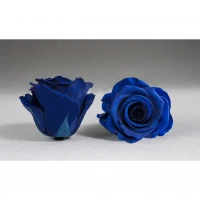 Aranjament 3 trandafiri criogenati albastrii, Rose Amor, cupola de sticla 30cm, petale la baza, Urban Trends ®