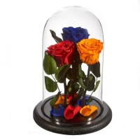 Aranjament 3 trandafiri criogenati Rosu/Galben/Albastru, Rose Amor, cupola de sticla 30cm, petale la baza, Urban Trends ®