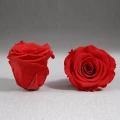 Trandafir criogenat XXL , Rose Amor, cupola de sticla 25 cm, iluminare LED, petale la baza