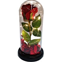 Trandafir criogenat XXL , Rose Amor, cupola de sticla 25 cm, iluminare LED, petale la baza