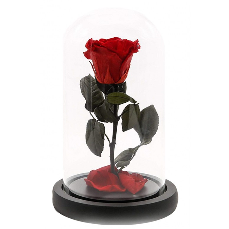 Trandafir criogenat rosu intens, Rose Amor, cupola de sticla eleganta 25 cm, petale la baza