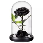 Cupola de sticla cu Trandafir Criogenat Negru XXL