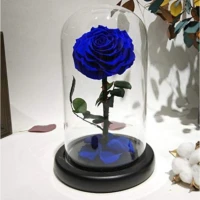 Cupola de sticla cu Trandafir Criogenat Albastru XXL