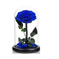 Cupola de sticla cu Trandafir Criogenat Albastru XXL