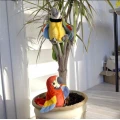 Jucarie interactiva inteligenta papagal vorbitor multicolor