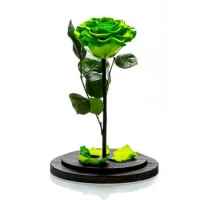Trandafir criogenat verde neon, Rose Amor, cupola de sticla 25cm, petale la baza, Urban Trends ®