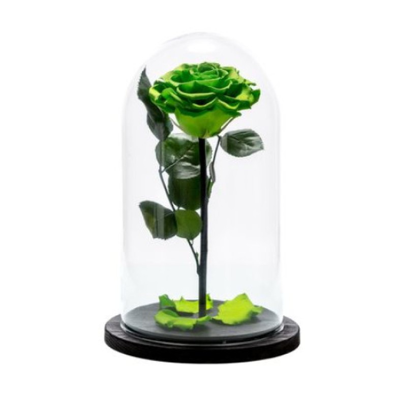 Trandafir criogenat verde neon, Rose Amor, cupola de sticla 25cm, petale la baza, Urban Trends ®