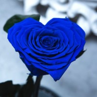 Trandafir criogenat Cupidon inima albastra intensa, Rose Amor, cupola de sticla 20cm, Urban Trends ®