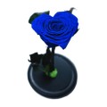 Trandafir criogenat Cupidon inima albastra intensa, Rose Amor, cupola de sticla 20cm, Urban Trends ®
