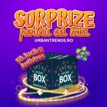 Cutie cu 50 jucarii antistres ,  pentru copii cu jucarii senzoriale, Mistery box , cadou surpriza
