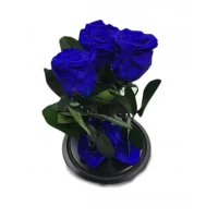 Aranjament 3 trandafiri criogenati albastrii, Rose Amor, cupola de sticla 30cm, petale la baza, Urban Trends ®