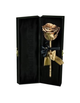 Set cadou Trandafir criogenat auriu in cutie de catifea "Nu sunt complet fara iubirea ta" + Cutie bomboane Ferrero Rocher