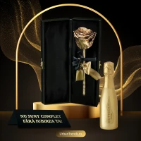 Set cadou Trandafir criogenat auriu in cutie de catifea "Nu sunt complet fara iubirea ta" + Bottega Prosecco Gold