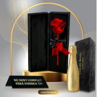 Set cadou Trandafir criogenat Rosu in cutie de catifea "Nu sunt complet fara iubirea ta" + Bottega Prosecco Gold
