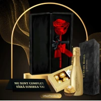 Set cadou Trandafir criogenat Rosu in cutie de catifea "Nu sunt complet fara iubirea ta" + Bottega Prosecco Gold si Ferrero Rocher