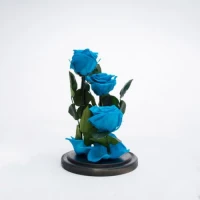 Aranjament 3 trandafiri criogenati turcoaz, Rose Amor, cupola de sticla 30cm, petale la baza, Urban Trends ®