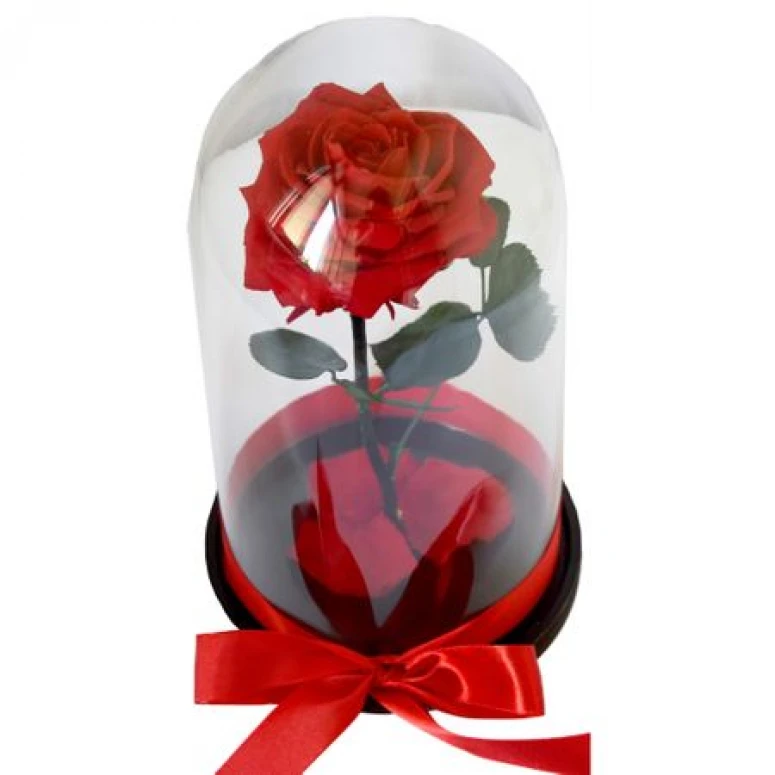 Cupola cu trandafir criogenat rosu mare, petale la baza